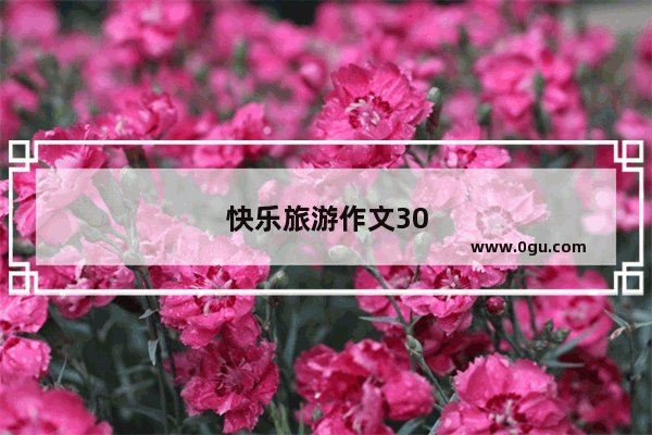 快乐旅游作文300字