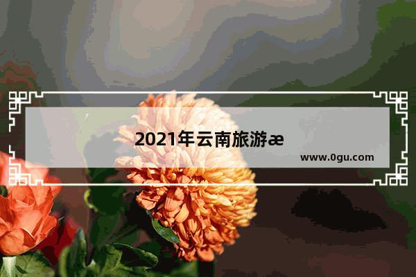 2021年云南旅游文化学院学费