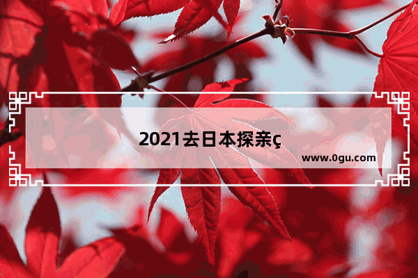 2021去日本探亲签证什么时间开放