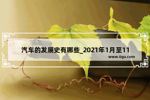 汽车的发展史有哪些_2021年1月至11月汽车销量排行榜