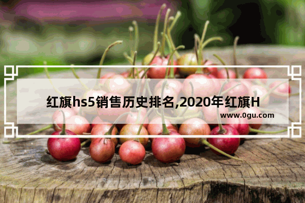 红旗hs5销售历史排名,2020年红旗HS511月汽车销量