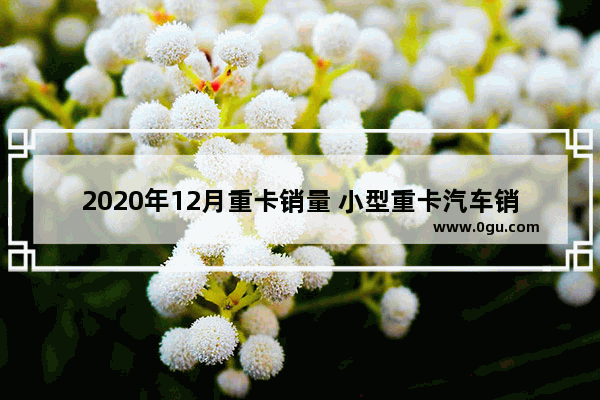 2020年12月重卡销量 小型重卡汽车销量2020