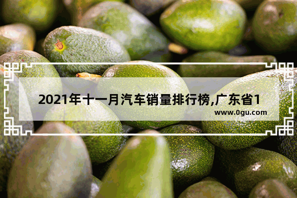 2021年十一月汽车销量排行榜,广东省11月汽车销量