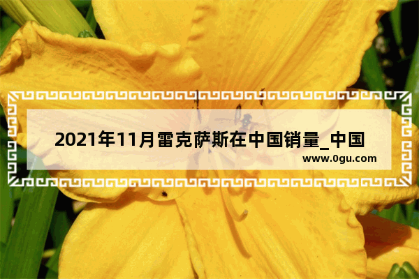 2021年11月雷克萨斯在中国销量_中国雷克萨斯汽车销量