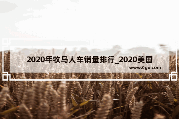 2020年牧马人车销量排行_2020美国中型suv销量排名前十名