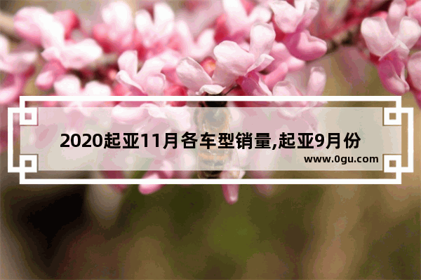 2020起亚11月各车型销量,起亚9月份汽车销量