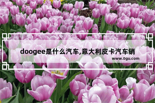 doogee是什么汽车,意大利皮卡汽车销量