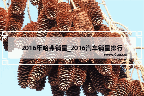 2016年哈弗销量_2016汽车销量排行榜