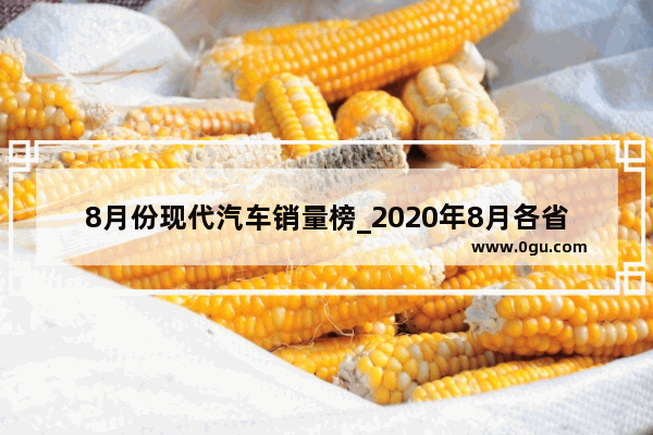 8月份现代汽车销量榜_2020年8月各省汽车销量