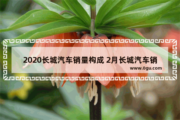 2020长城汽车销量构成 2月长城汽车销量2018