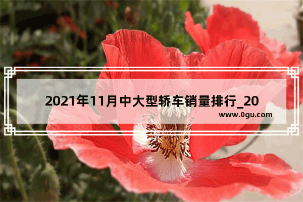 2021年11月中大型轿车销量排行_2021年11月全国各市汽车销售量排名