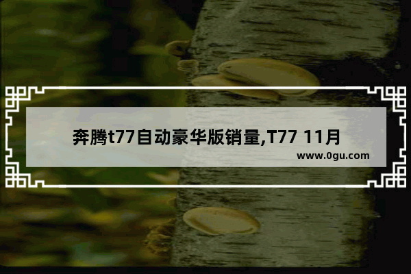 奔腾t77自动豪华版销量,T77 11月汽车销量