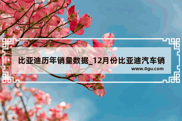 比亚迪历年销量数据_12月份比亚迪汽车销量排行榜