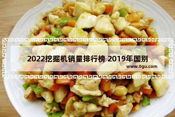 2022挖掘机销量排行榜 2019年国别汽车销量