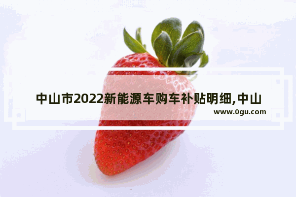 中山市2022新能源车购车补贴明细,中山电动汽车销量排名榜