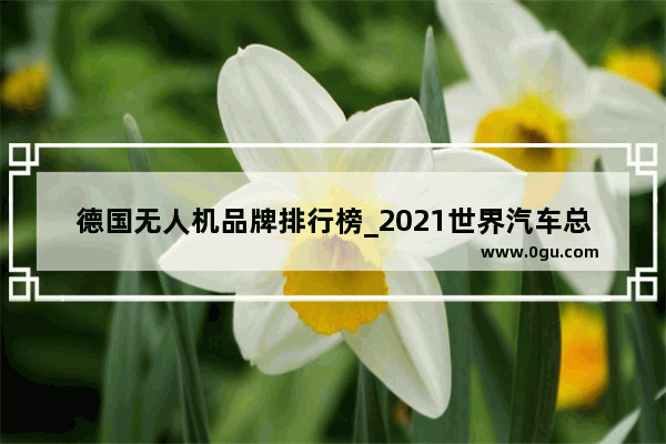 德国无人机品牌排行榜_2021世界汽车总销量排行榜