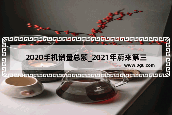 2020手机销量总额_2021年蔚来第三季度销售量