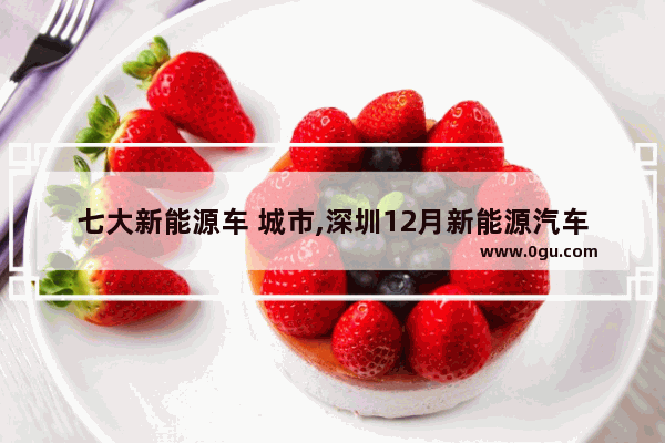 七大新能源车 城市,深圳12月新能源汽车销量