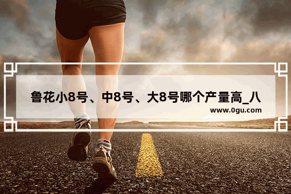 鲁花小8号、中8号、大8号哪个产量高_八月份小型汽车销量统计