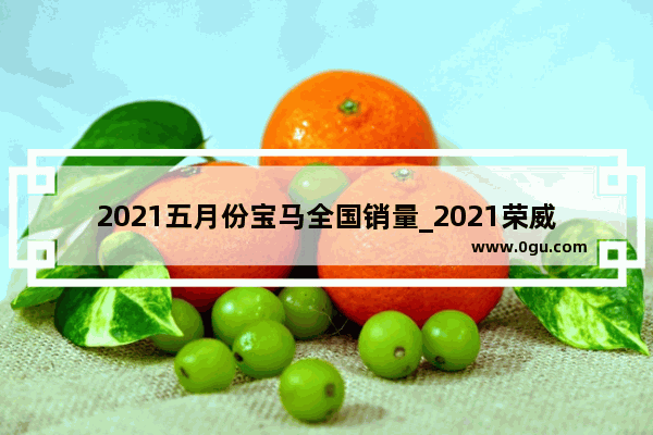 2021五月份宝马全国销量_2021荣威i55月份销量排名