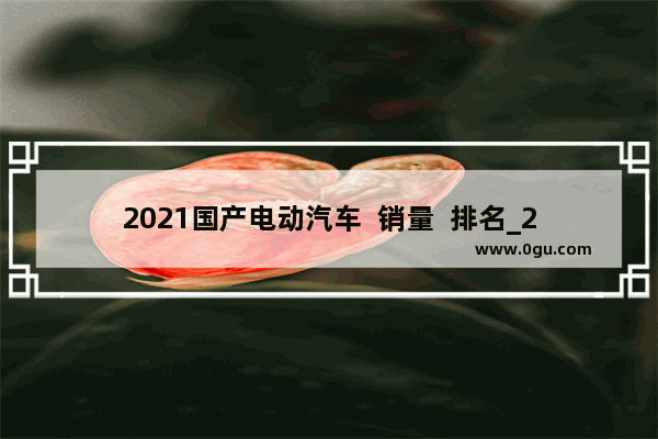 2021国产电动汽车  销量  排名_2021年电动汽车销量十大排名