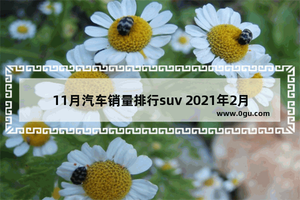 11月汽车销量排行suv 2021年2月份suv汽车销量排