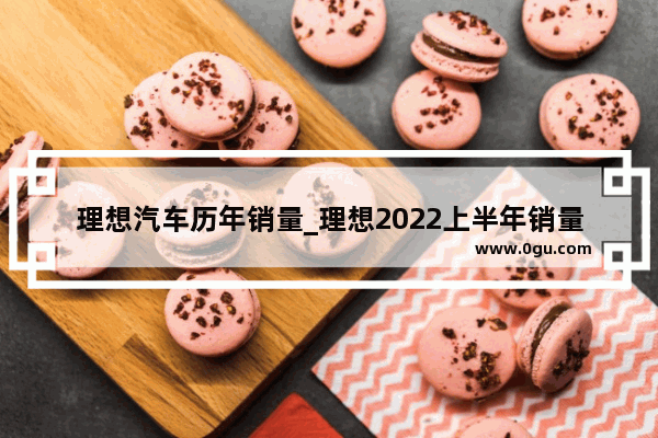 理想汽车历年销量_理想2022上半年销量