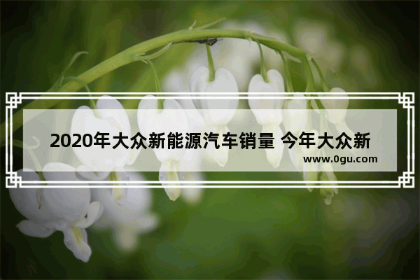 2020年大众新能源汽车销量 今年大众新能源汽车销量