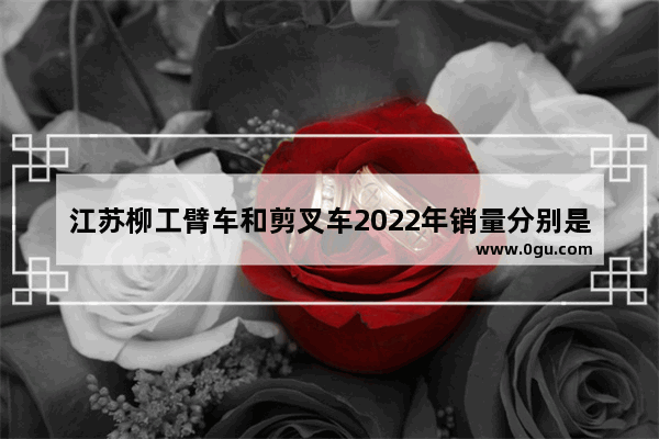 江苏柳工臂车和剪叉车2022年销量分别是多少_江苏各城市豪车排行榜