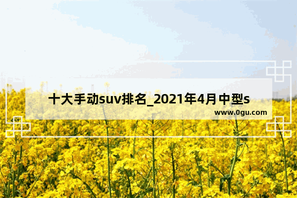 十大手动suv排名_2021年4月中型suv销量排行完整榜单