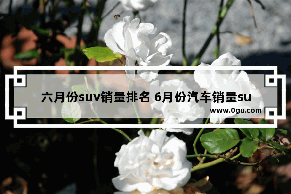 六月份suv销量排名 6月份汽车销量suv排行2019