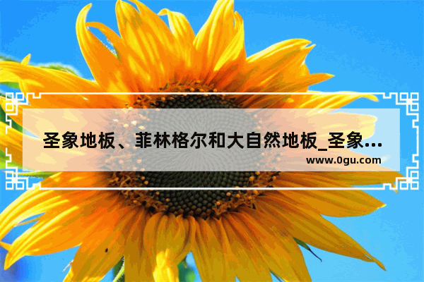 圣象地板、菲林格尔和大自然地板_圣象地板和德尔地板哪个好 简单比较两者差别