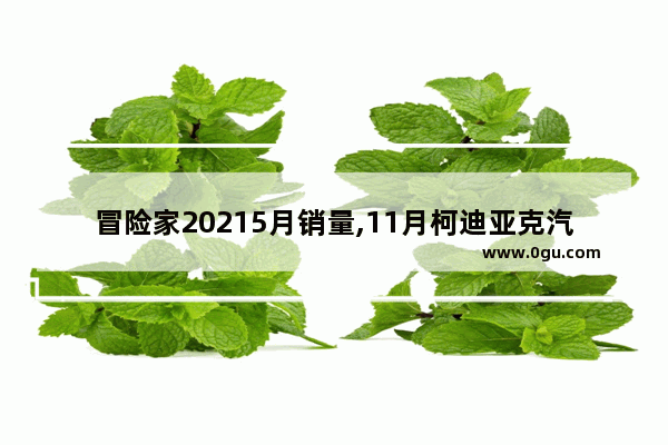 冒险家20215月销量,11月柯迪亚克汽车销量榜