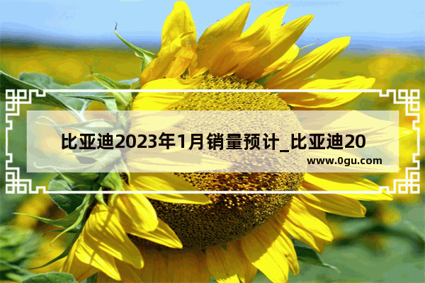 比亚迪2023年1月销量预计_比亚迪2023销量会达到300万吗