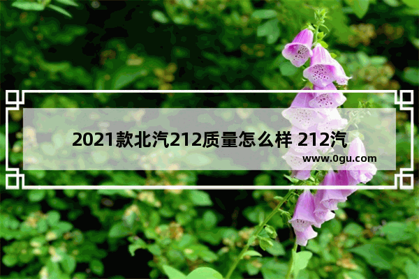 2021款北汽212质量怎么样 212汽车销量排行榜