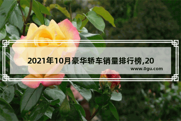 2021年10月豪华轿车销量排行榜,2019年10汽车销量榜