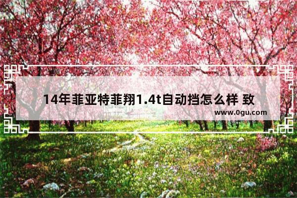 14年菲亚特菲翔1.4t自动挡怎么样 致悦汽车销量