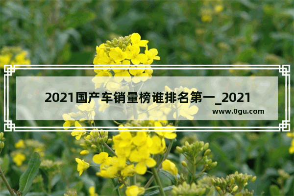 2021国产车销量榜谁排名第一_2021年国产车销量第一的是哪款