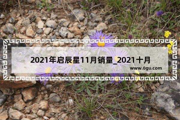 2021年启辰星11月销量_2021十月启辰大V 销量