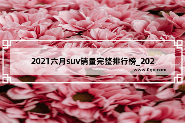 2021六月suv销量完整排行榜_2021年6月豪华suv销量排行榜完整