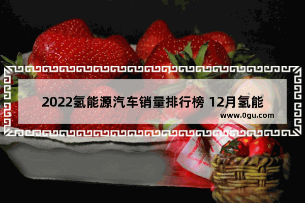 2022氢能源汽车销量排行榜 12月氢能源汽车销量排名