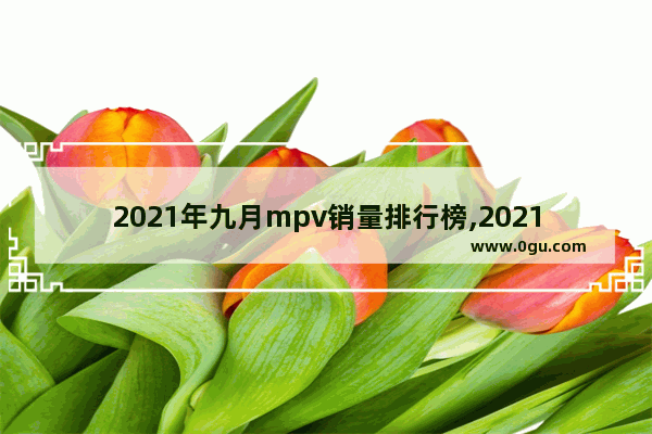 2021年九月mpv销量排行榜,2021年1月mp汽车销量排名