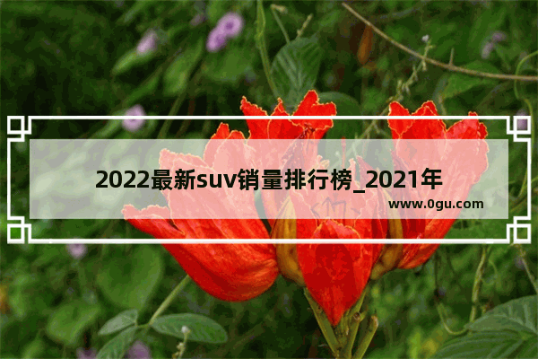 2022最新suv销量排行榜_2021年suv 汽车销量排行榜