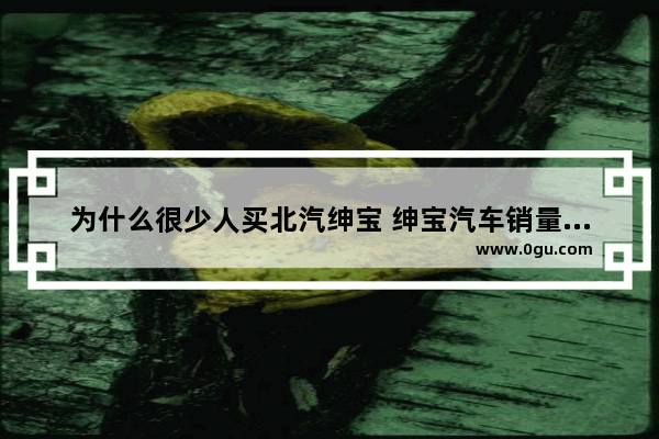 为什么很少人买北汽绅宝 绅宝汽车销量为什么会下降