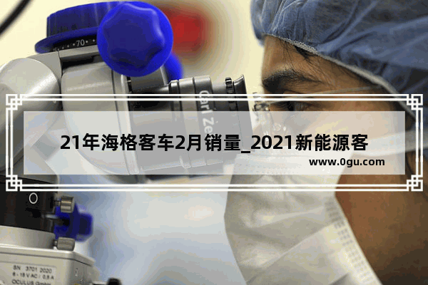 21年海格客车2月销量_2021新能源客车销量排名