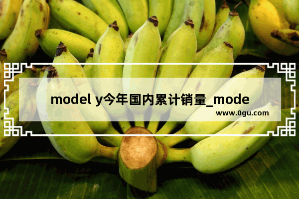 model y今年国内累计销量_model y累计销量