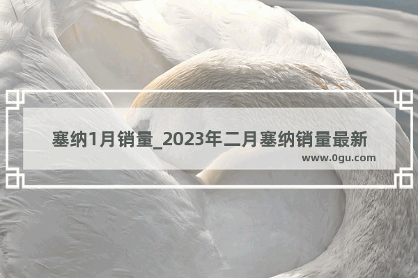 塞纳1月销量_2023年二月塞纳销量最新