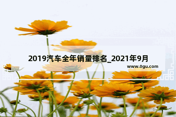 2019汽车全年销量排名_2021年9月份别克威朗销量