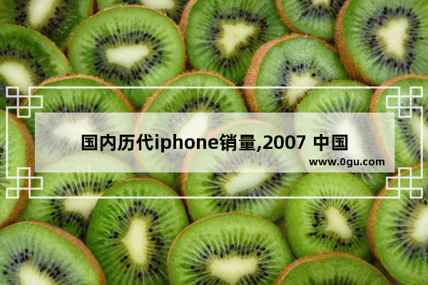 国内历代iphone销量,2007 中国汽车销量