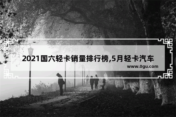 2021国六轻卡销量排行榜,5月轻卡汽车销量榜